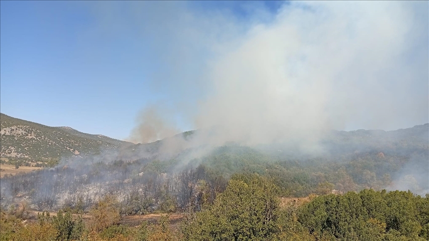 Burdur'da ormanlık alanda çıkan yangın kontrol altına alındı