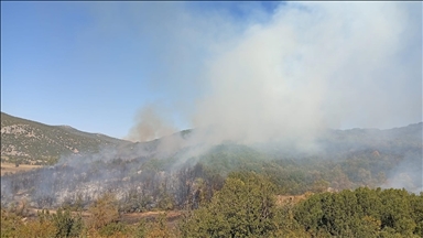 Burdur'da ormanlık alanda çıkan yangına müdahale ediliyor