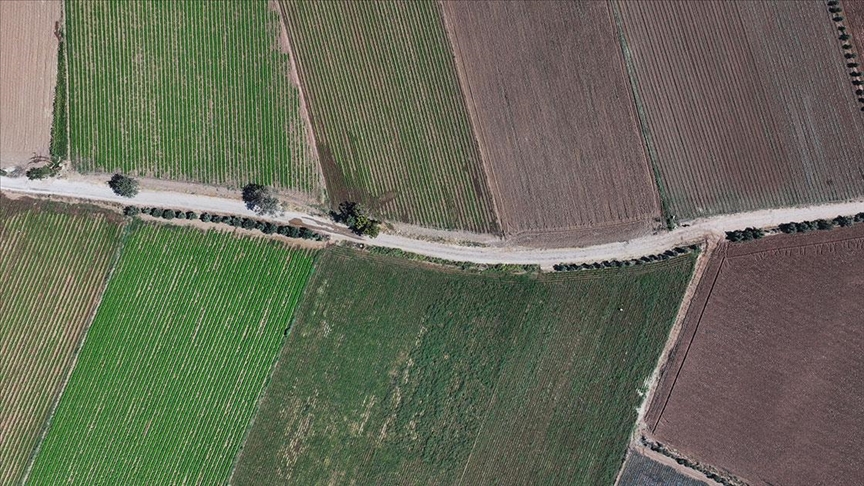 Kışlık sebze üssü İzmir, üretim gücünü yerli çeşitlerle artıracak