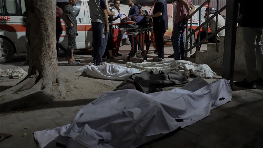 Austria calls for end to suffering in Gaza, reaffirms support for Ukraine’s sovereignty