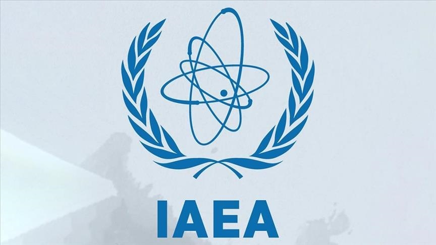 UAEA, Güney Ukrayna Nükleer Santrali yakınında dron düştüğünü bildirdi