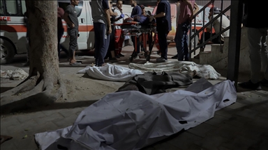Austria calls for end to suffering in Gaza, reaffirms support for Ukraine’s sovereignty