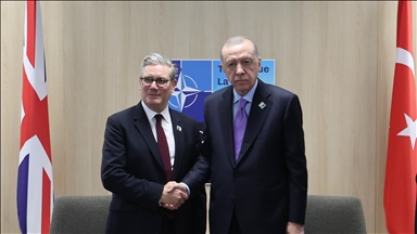 Turkish president, UK premier discuss bilateral ties, regional, global issues