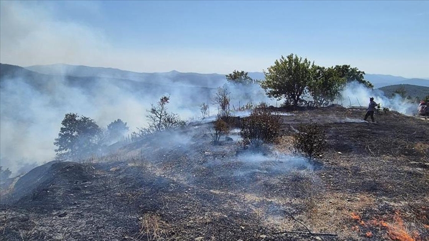 Bursa'da ormanlık alanda çıkan yangın kontrol altına alındı. 
