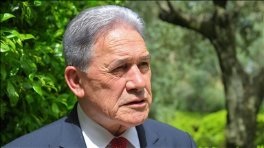 Aid must flow into Gaza, New Zealand tells UN