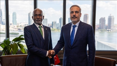Turkish, Nigerian foreign ministers meet in New York 