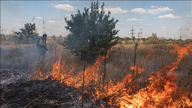 Namibia deploys army to battle raging fire in Etosha National Park
