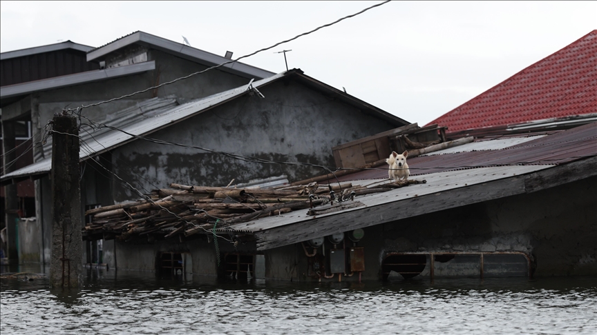 12 killed as Typhoon Bualoi makes landfall in Vietnam with rain, flooding