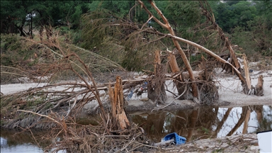 At least 3 people die due to floods in US state of Arizona