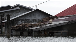 12 killed as Typhoon Bualoi makes landfall in Vietnam with rain, flooding