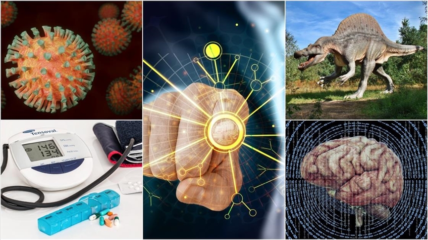 Mars'ta yaşama işaret eden izlerden hastalıkları öngören yapay zeka modeline eylüldeki bilimsel gelişmeler