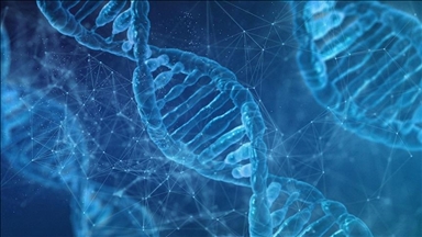 Human embryo created using skin cell DNA for 1st time