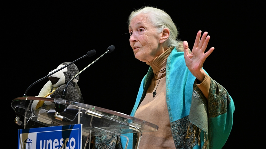 Jane Goodall, who reshaped primatology through her work with chimpanzees, dies at 91