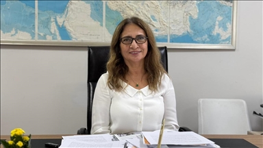 Uzmanlar Marmara Denizi'ndeki depremi değerlendirdi