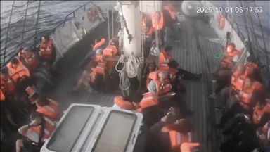 Arab countries condemn Israel’s violation of international law after attack on Gaza aid flotilla