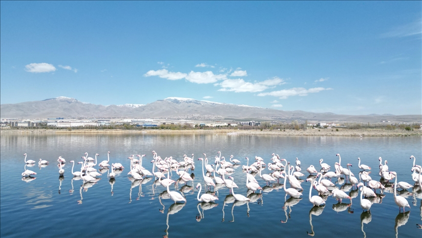 Niğde'deki barajların doluluk oranı kuraklık nedeniyle düştü