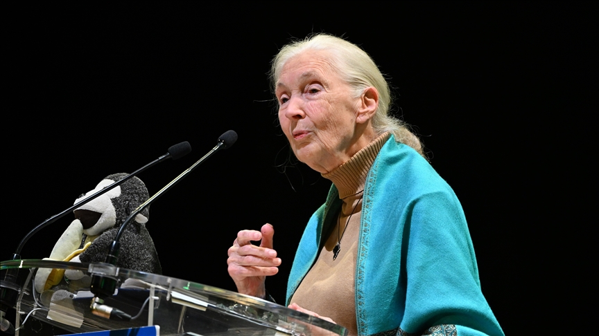 Global tributes pour in after Jane Goodall passes away at 91