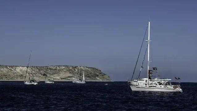 Австрийский активист с судна флотилии Global Sumud начал голодовку