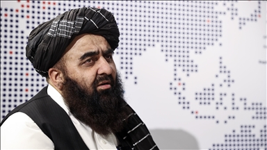 Top Afghan diplomat set to visit India next week, says New Delhi
