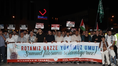 Li Diyarbekirê êrîşa Îsraîlê ya dijî Fîloya Sumûdê ya Kurewî hat protestokirin