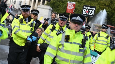 London demo urges government to drop ban on Palestine Action as more than 400 arrested