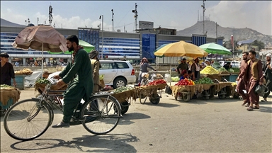Donors urged to accelerate talks with Taliban to mitigate effect of US aid cuts in Afghanistan