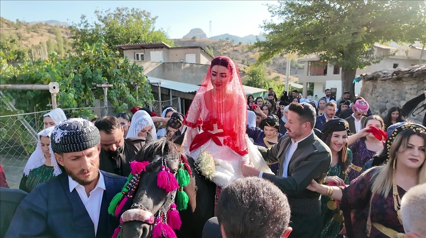 Li Şirnexê kevneşopiya birina bûkê ya bi hespê tê parastin