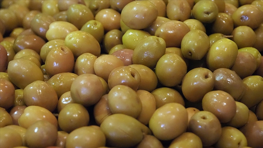 Sofralık zeytin ihracatında rekor kırıldı