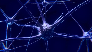 Scientists investigate how living cells could become 'biocomputers'