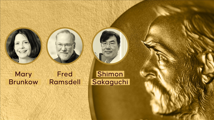 2025 Nobel Tıp Ödülü'nü "periferik bağışıklık toleransı" keşfiyle Brunkow, Ramsdell ve Sakaguchi kazandı