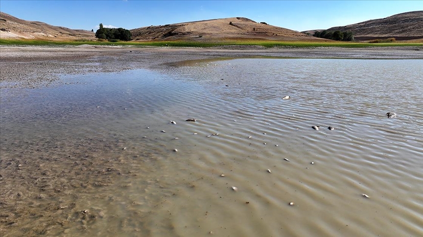 Kayseri'de Tozlu Göleti kıyısında balık ölümleri görüldü