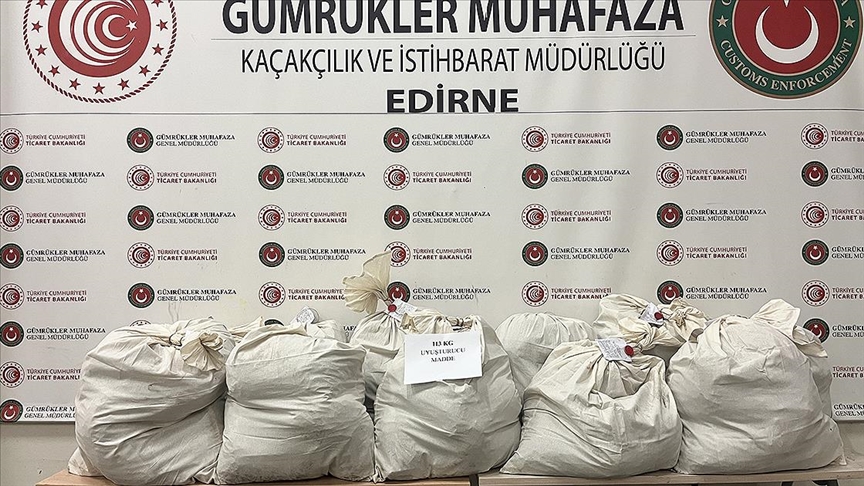 Kapıkule'de tır dorsesine gizlenmiş 113 kilo 664 gram esrar ele geçirildi