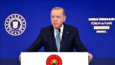 اردوغان: ترکیه در میان کشورهای سرمایه‌گذار در انرژی سبز پیشتاز است