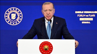 Erdoğan: Turqia kryeson në investimet në energjinë e gjelbër
