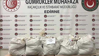 Kapıkule'de tır dorsesine gizlenmiş 113 kilo 664 gram esrar ele geçirildi