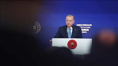 Türkiye leads in green energy investments, pushing renewable share to over 60% of total in 2025: President Erdogan