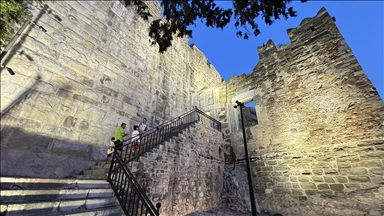 7 artifacts repatriated from Switzerland to be exhibited at Bodrum Castle