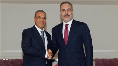 فيدان يبحث مع نظيره المصري مساعي وقف النار بغزة