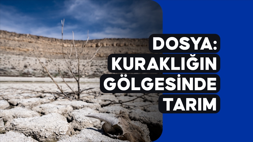 Kuraklık Tarımı Tehdit Ediyor: Çözüm İçin Yol Haritası Aranıyor