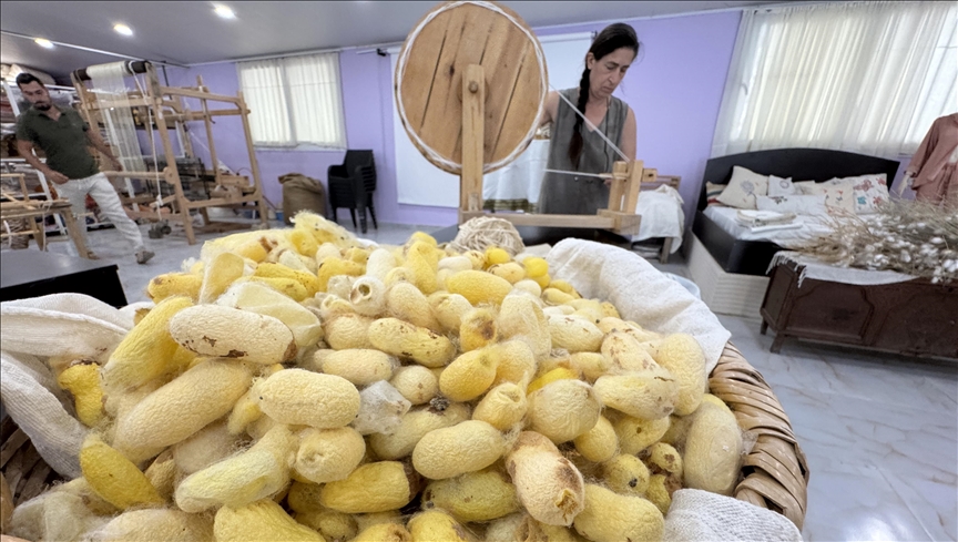 Depremden kurtardığı böcek yumurtalarıyla "Hatay sarısı ipeği"ne tescil kazandırdı