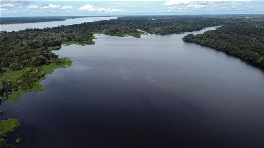 Amazon faces worst fire season in over 2 decades, emitting 791M tons of carbon dioxide