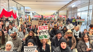 Protesters stage sit-ins in several Dutch cities in support of Palestine