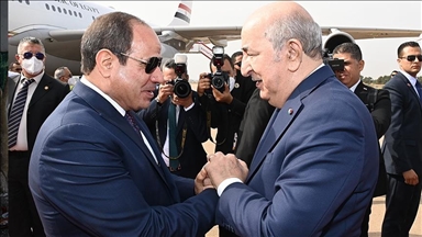 السيسي وتبون يبحثان تطورات غزة ومسار مفاوضات شرم الشيخ
