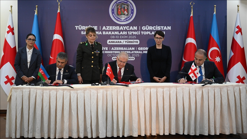 Azerbaijani, Georgian defense ministers discuss boosting joint drills