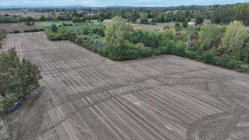 Geçen yıl kuru toprağa ekim yapan Trakya çiftçisi son yağışlarla moral buldu