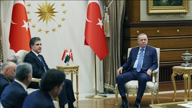 Türkiye sees Iraq’s peace, security as inseparable from its own: President Erdogan