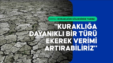 Kuraklıkla mücadelede çiftçinin bilgilendirilmesi önemli rol oynuyor