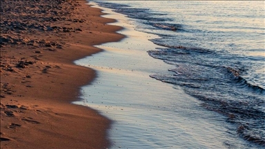 New Zealand’s oceans warming 34% faster than global average, threatening economy
