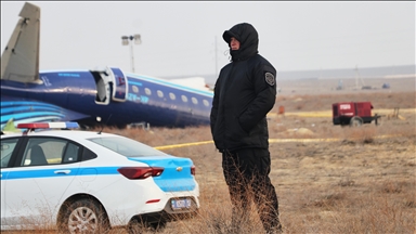 Russia to do everything necessary to provide compensation for AZAL plane crash: Putin