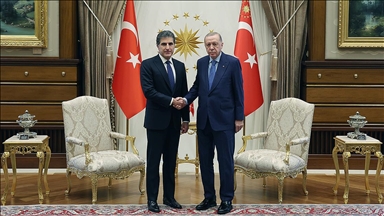 Cumhurbaşkanı Erdoğan, Irak Kürt Bölgesel Yönetimi Başkanı Barzani'yi kabul etti